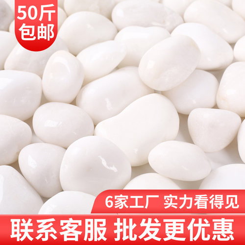 白色鹅卵石抛光白石头铺地雨花石原石庭院花园鱼缸造景天然白石子 - 封面