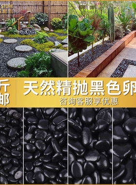 黑色鹅卵石瓜子米石造景多肉花盆铺面庭院造景装饰精抛光小黑石头