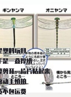 纸模型 DIY手工 仿真蜻蜓 Anotogaster与Anax昆虫立体拼装