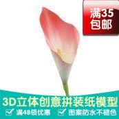 植物海芋花（粉红色）3d纸模型DIY手工手工纸模纸模摆件玩具