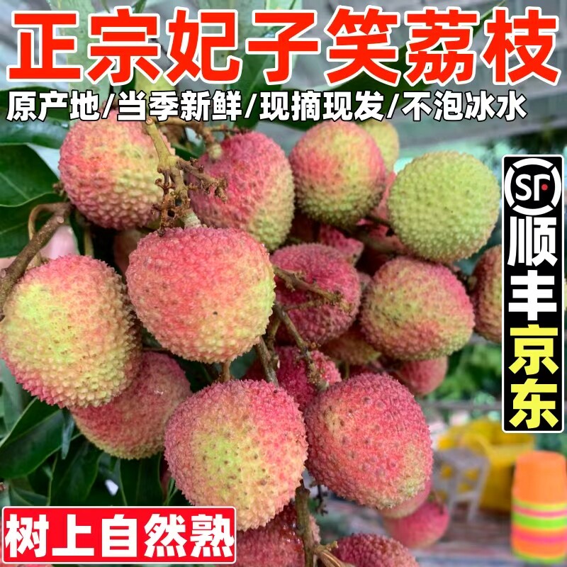 广西灵山妃子笑荔枝新鲜现摘当季农家白糖1罂桂0味荔枝时令水果