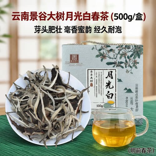 君点大树月光白春茶景谷月光美人