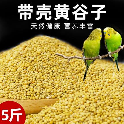 新黄谷子小米带壳小米虎皮牡丹玄凤中小型鹦鹉文鸟鸟粮鸟食鸟饲料