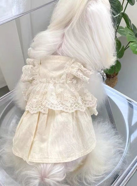 狗狗裙子小狗夏季春秋衣服宠物小型犬泰迪比熊博美茶杯犬猫咪薄款