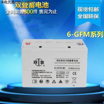 12V80AH 6GFM-80免维护UPS/EPS太阳能/通讯蓄电池干电池