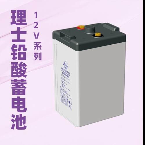 LEOCH理士蓄电池DJ200 2V200AH 300AH 500AH 800AH直流屏 EPS电瓶