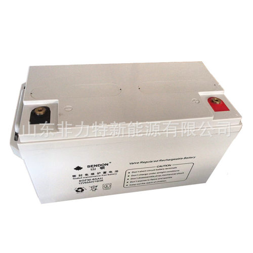 SENDON蓄电池12VOLT55AH 12V55AH直流屏配套UPS电源