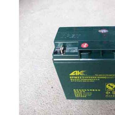AK蓄电池12V22AH 6FM22免维护铅酸电瓶后备应急储能童