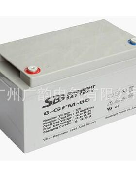 衡阳 SBB蓄电池 6-GFM-50 12V50AH UPS应急电源电瓶 现货