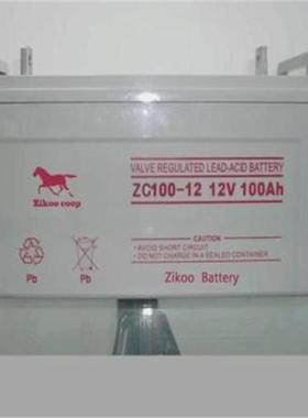 ZC100-12 绿色环保电瓶 矿井UPS计算机应急电