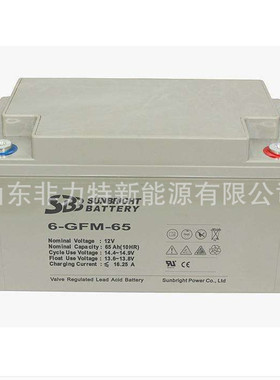 SBB蓄电池6-GFM-55 12V55AH光伏发电 UPS不间断电源