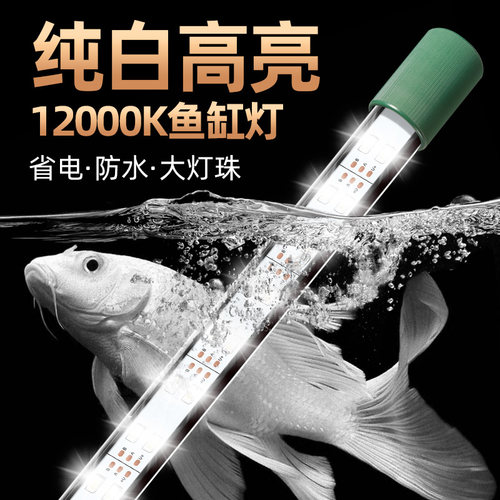鱼缸灯led灯防水新款超亮白光灯吸盘蝴蝶鲤观赏水族箱照明水草灯
