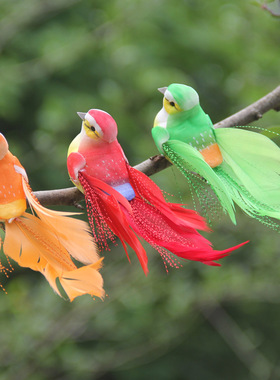 小鸟羽毛手工彩色园艺树枝捆绑