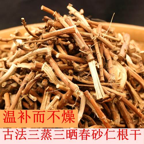 春砂仁根野生新鲜晒干煲汤