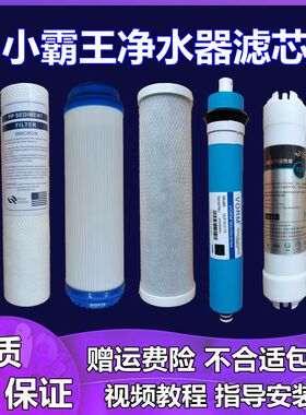 适用于小霸王净水器滤芯十寸