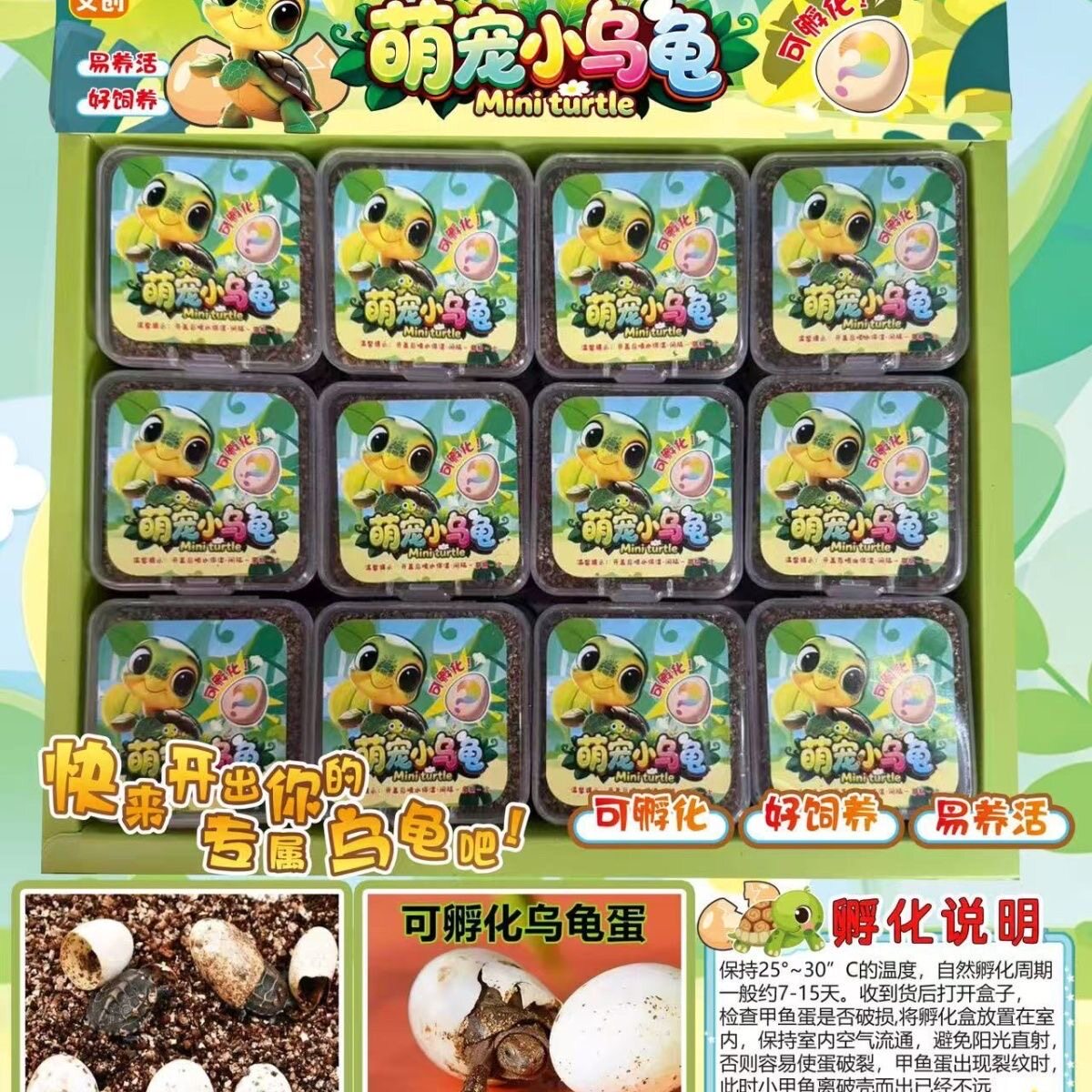新品儿童创意玩具可孵化乌龟蛋小朋友科学实验萌宠乌龟宝宝热卖款