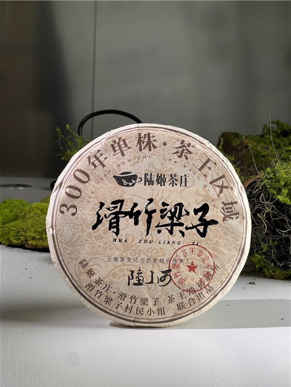2022年云南高山古树茶 滑竹梁子300年单株357克饼 普洱生茶七子饼