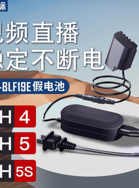沣标BLF19E模拟电池GH7适用于松下GH4 GH5 GH3 GH5S G9LGK微单E相机假电池视频直播外接电源供电适配器