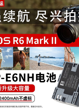沣标LP-E6NH电池E6N适用佳能R5C R62二代EOS R5 R6 R7相机5D4 5D3 5D2 7D2 6D2 7D 5DSR单反90D 80D 70D 60D