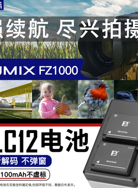 沣标DMW-BLC12电池松下FZ1000 FZ300 G85 80 GX8 G6 G7 GH2相机FZ2500适马FPL DP3Q DP0Q徕卡CL V-LUX4充电器