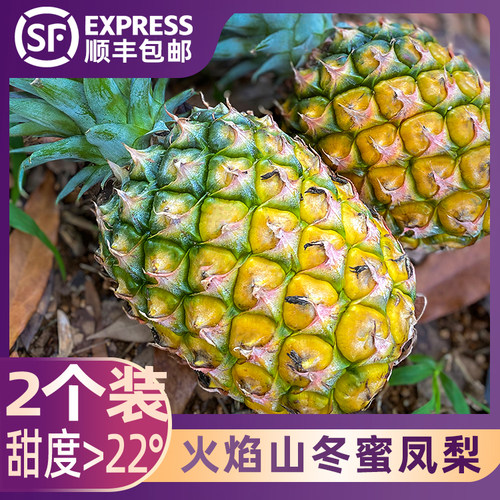 海南三亚火焰山冬蜜凤梨白砂糖甜