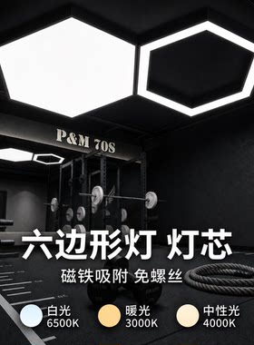 六边形吊灯灯芯磁吸吸顶灯光源