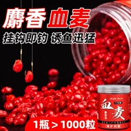 Hạt lúa mì câu cá máu lúa mì hạt thức ăn cho cá cá thực phẩm câu cá hoang dã hố đen cá chép cá trích mồi mồi câu cá đặc biệt mồi câu cá chép siêu nhạy mồi câu cá mè hoa