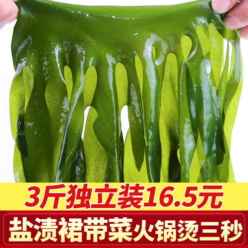 3斤裙带菜海带芽海带苗薄嫩盐渍裙带叶海菜韩国海带汤火锅烫三秒 - 封面
