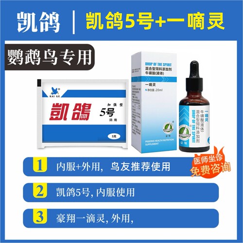 豪翔一嘀灵眼睛流泪单眼问题鸽用