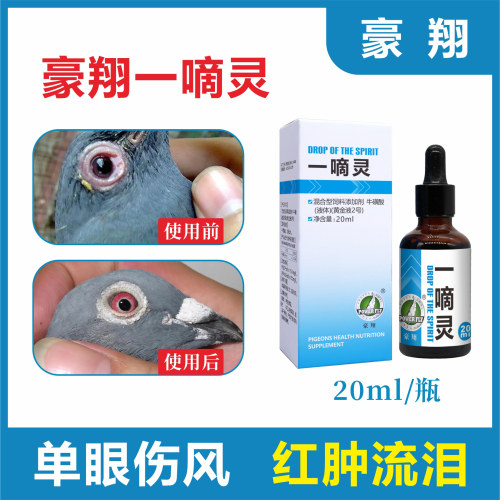 豪翔一滴灵赛鸽鹦鹉鸟用单眼伤风