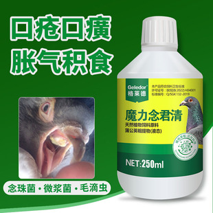 格莱德魔力念菌清250ml赛鸽保健口疮口黄胀气积食念珠菌非鸽子药