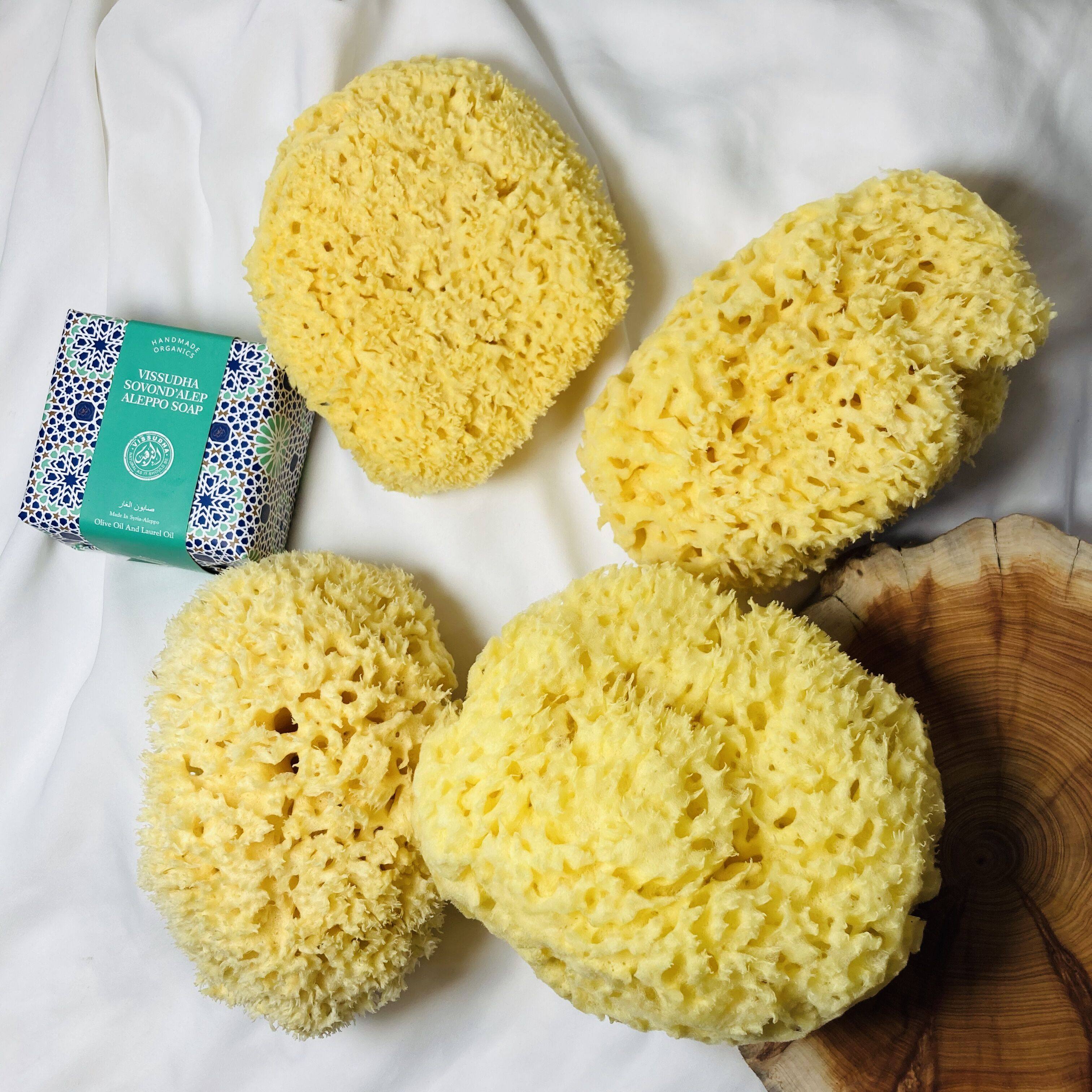 希腊 海绵 天然婴儿洗脸 洗澡卸妆地中海 蜂窝 海绵 特大