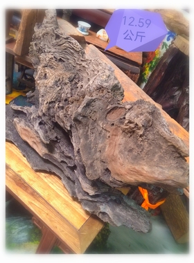 海南黎母山雷击碳化奇楠沉香12.59公斤，铁沉沉水级沉香特征明显