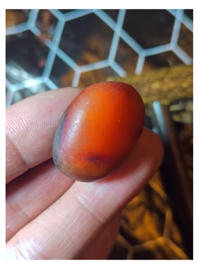 有一种籽料艳若鸡冠，鸡冠玉玫瑰红和田玉红玉籽料原石，密度2.99