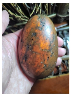 新疆玛丽艳老河道桔红皮籽料原石密度2.99，古籍记载出羊脂白玉