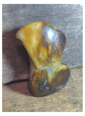 新疆籽料小鸡仔，来着新疆玛丽艳老河道一手籽料原石象形籽料