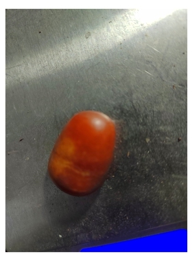 天然鸡血红红玉籽料原石，密度2.99，古籍记载艳若鸡冠新疆和田玉