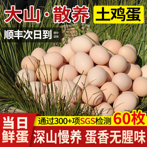 乡公馆深山散养土鸡蛋当日鲜蛋