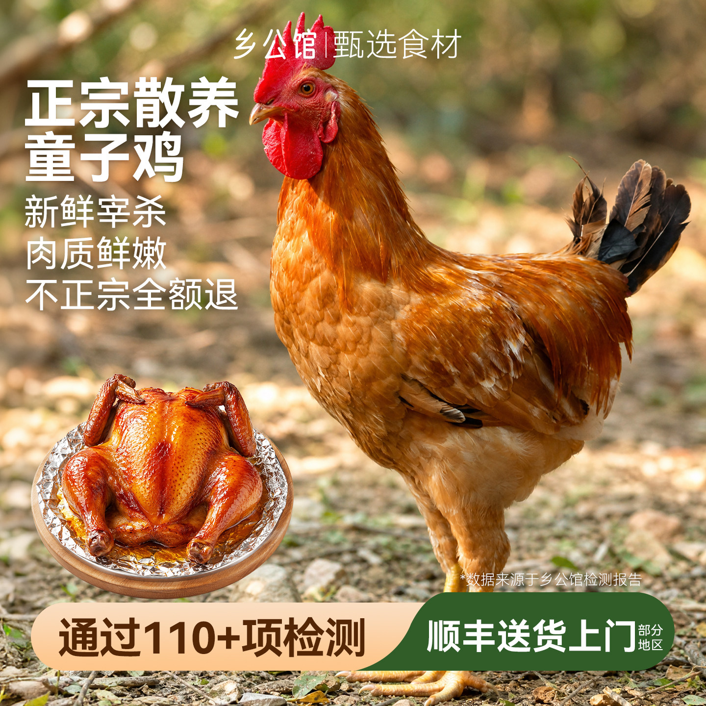 童子鸡新鲜现杀蜜汁烤鸡食材