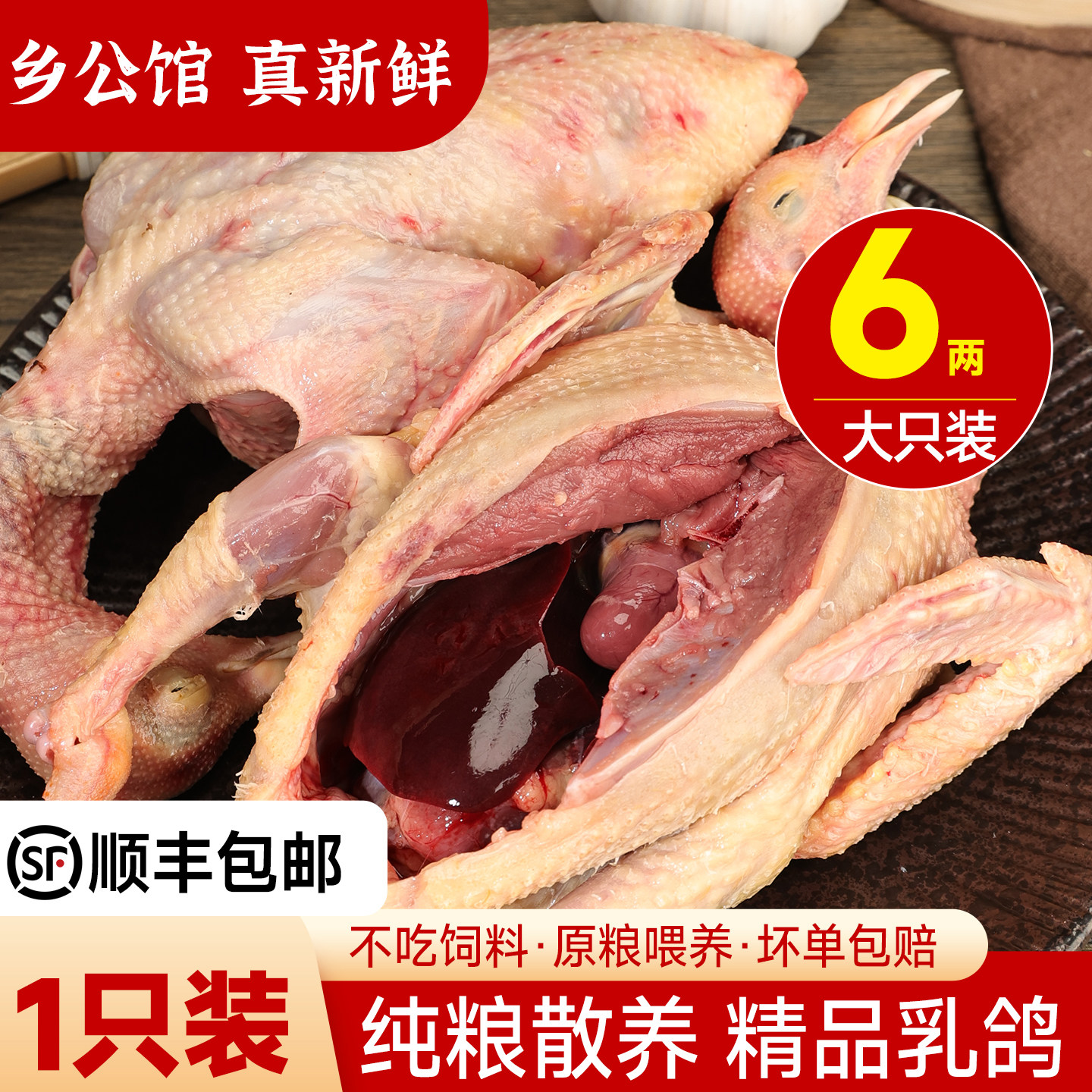 鸽子新鲜现杀农家散养1只非活物老鸽子新鲜土鸽子肉炖汤乳鸽生鲜