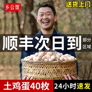 乡公馆鸡蛋新鲜土鸡蛋正宗农家散养农村60枚无抗生鲜乌柴笨草鸡蛋