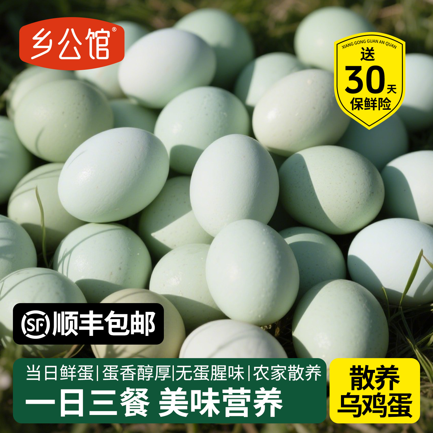 乌鸡蛋新鲜30枚正宗农家散养草大农村官方旗舰店乌骨绿壳土鸡蛋