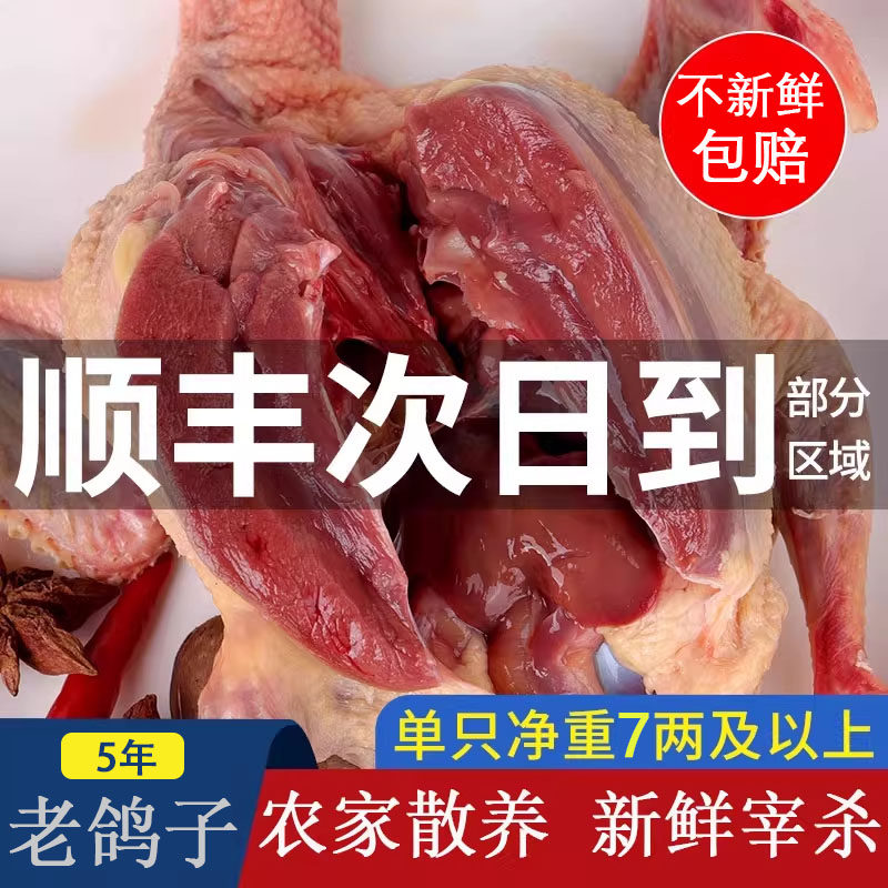 乡公馆现杀鲜活老鸽子肉领券到手98.2元