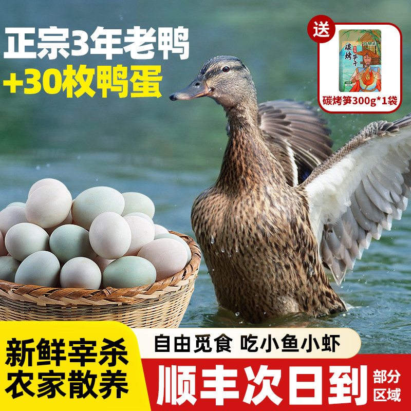 乡公馆鸭子现杀老鸭整只新鲜30枚鸭蛋农家散养正宗皖南农村老鸭