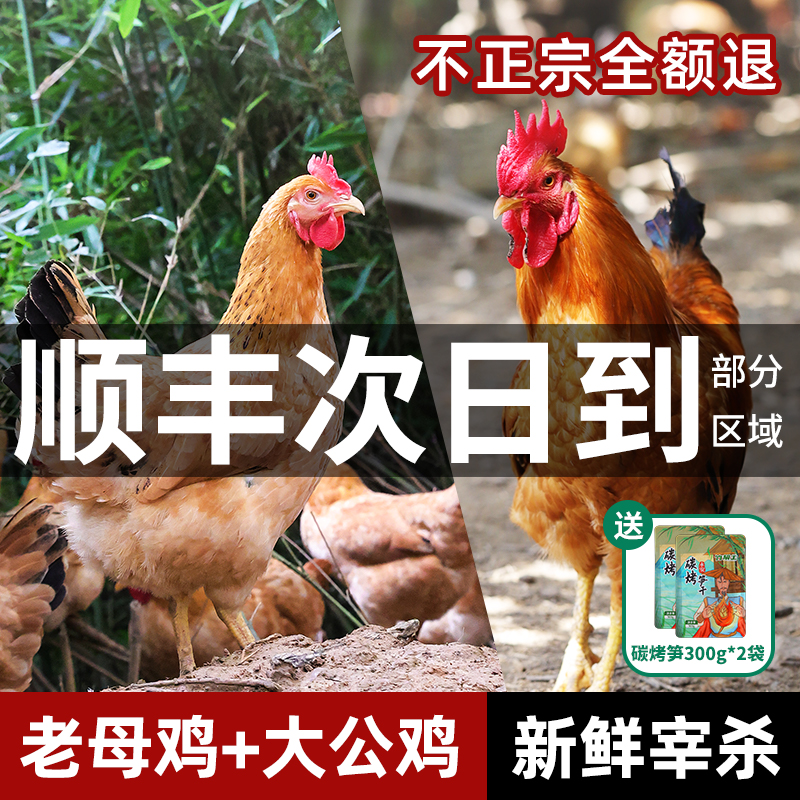 土鸡农家散养走地老母鸡正宗溜达鸡新鲜现杀跑山鸡大公鸡柴鸡整只