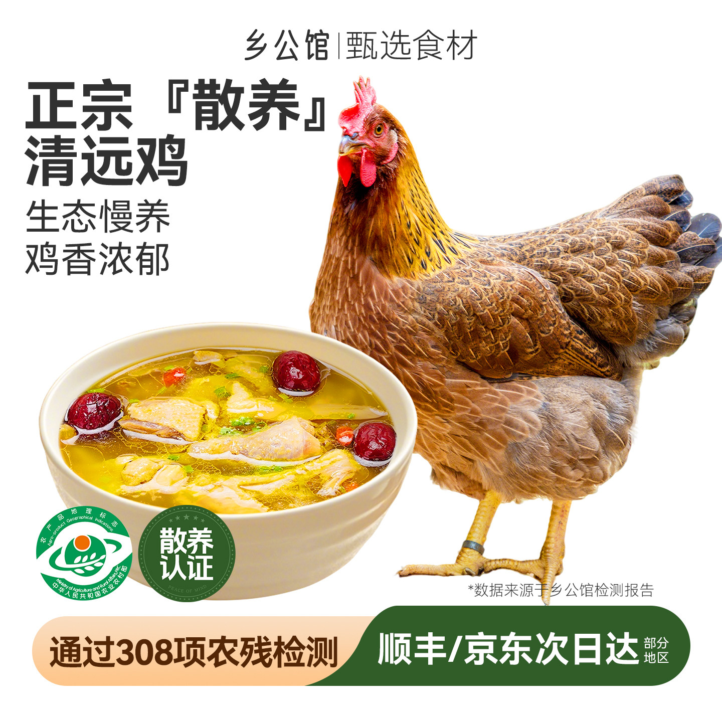 清远鸡正宗广东农家散养走地鸡