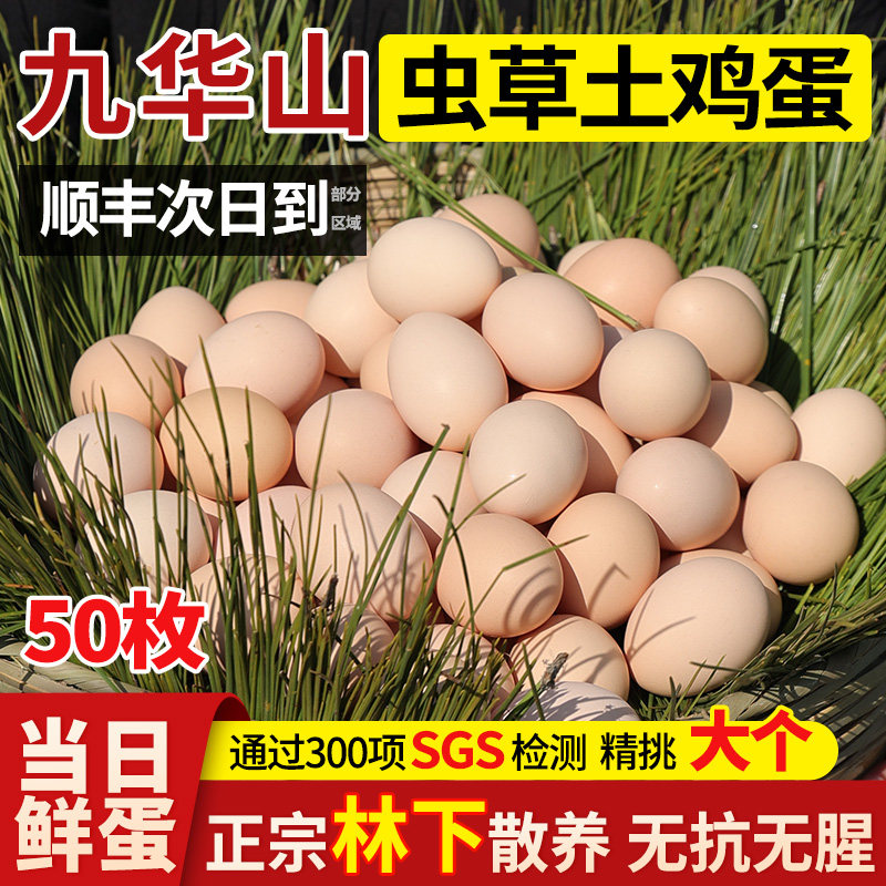 九华山正宗农家散养土鸡蛋新鲜农村谷物鸡蛋无抗柴鸡蛋草鸡蛋生鲜,水产肉类/新鲜蔬果/熟食,鸡蛋,淘宝优惠券,粉丝福利购,淘宝优惠卷