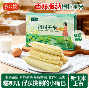 云南西双版纳拇指玉米带皮新鲜香甜糯非转基因真空早餐小手指玉米