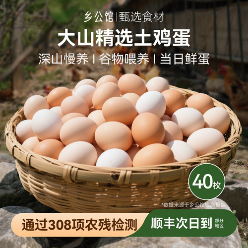 正宗深山散养土鸡蛋好吃无腥味