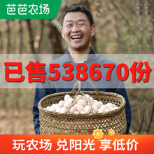 正宗土鸡蛋农家散养新鲜纯农村自养天然40枚草鸡蛋柴鸡蛋本笨鸡蛋